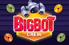 Big Bot Crew